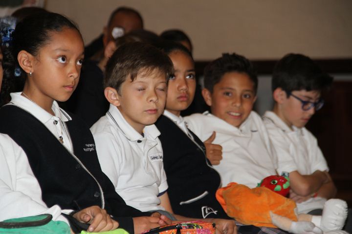 Ir a la Siguiente Foto