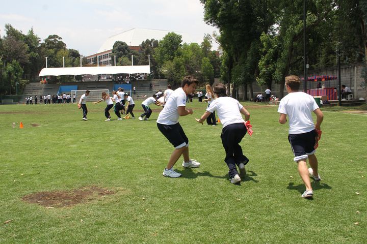 Ir a la Siguiente Foto