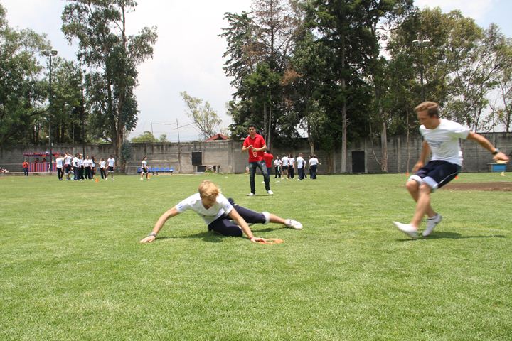 Ir a la Siguiente Foto