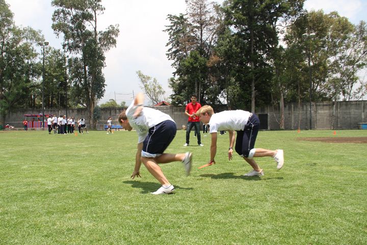 Ir a la Siguiente Foto
