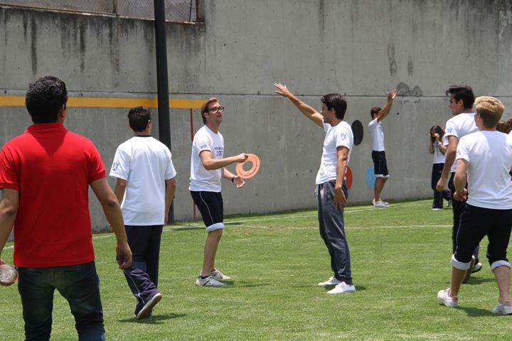 Ir a la Siguiente Foto