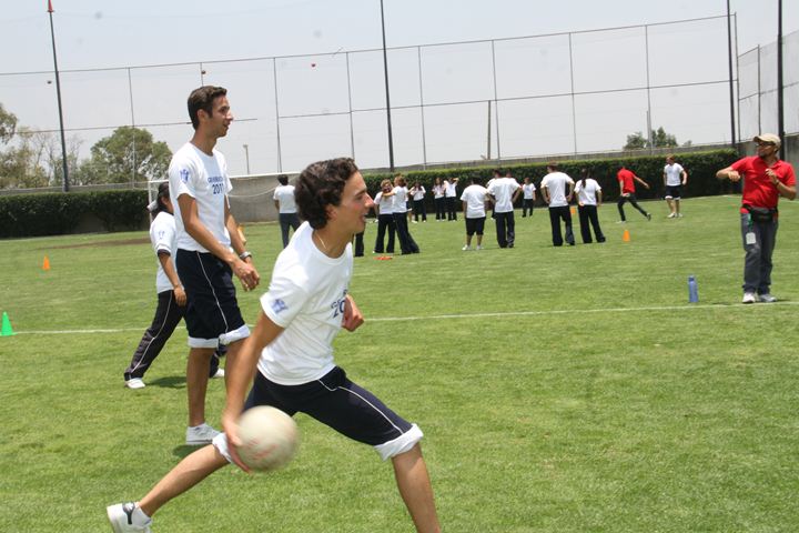 Ir a la Siguiente Foto
