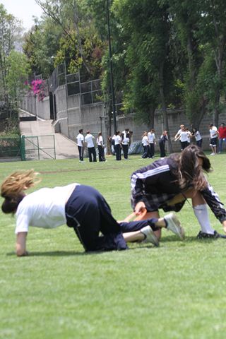 Ir a la Siguiente Foto