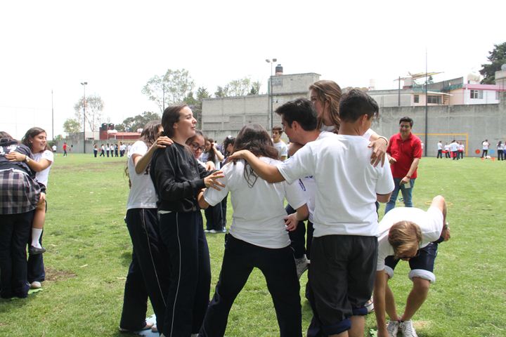 Ir a la Siguiente Foto
