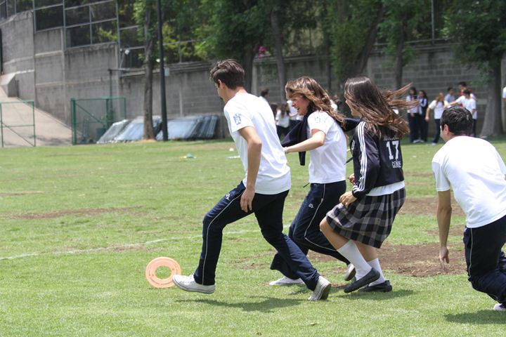 Ir a la Siguiente Foto