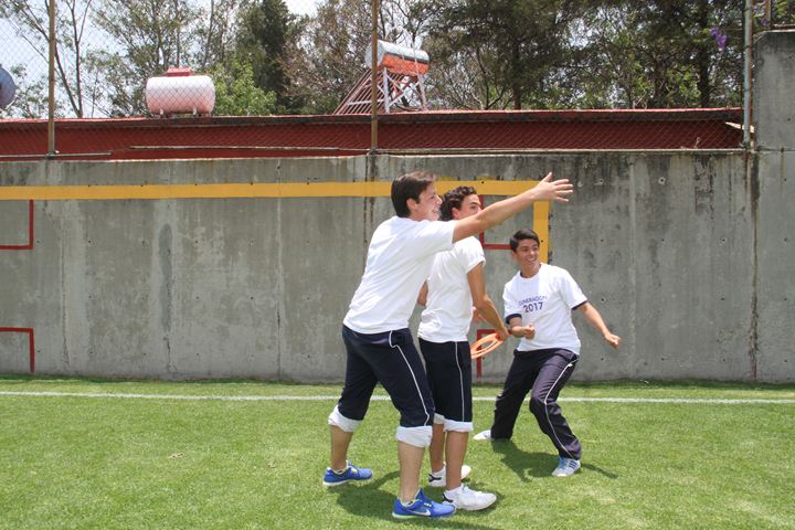 Ir a la Siguiente Foto