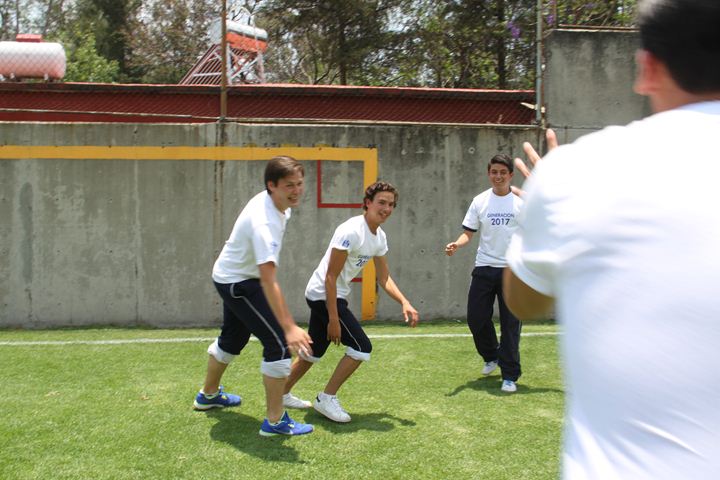 Ir a la Siguiente Foto