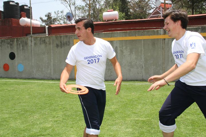 Ir a la Siguiente Foto