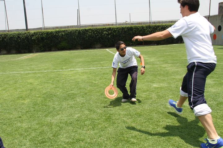 Ir a la Siguiente Foto