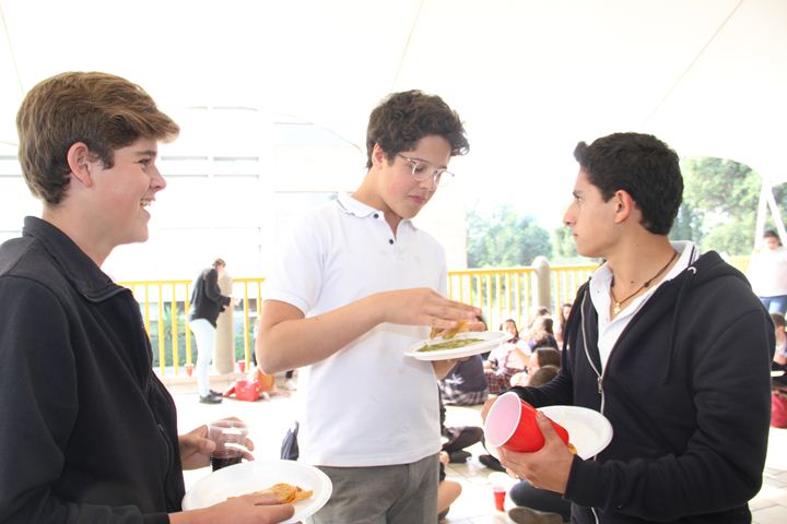 Ir a la Siguiente Foto