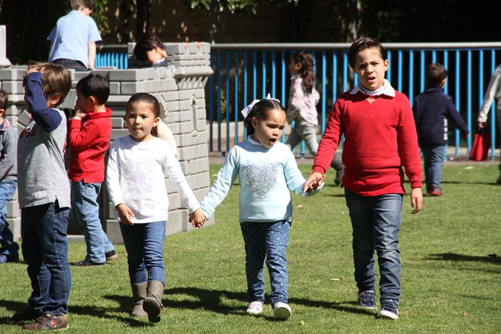 Ir a la Siguiente Foto