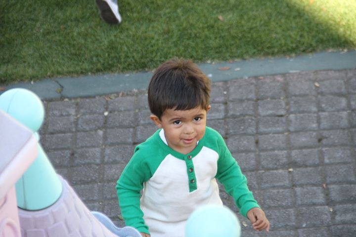 Ir a la Siguiente Foto