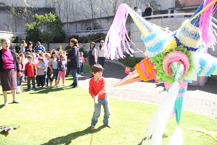Ir a la Siguiente Foto