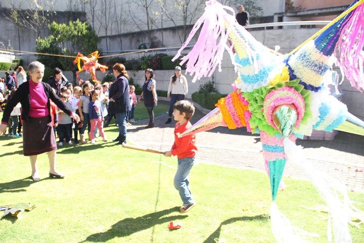 Ir a la Siguiente Foto