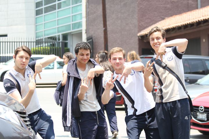 Ir a la Siguiente Foto