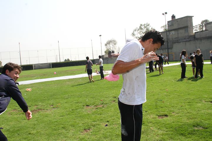 Ir a la Siguiente Foto