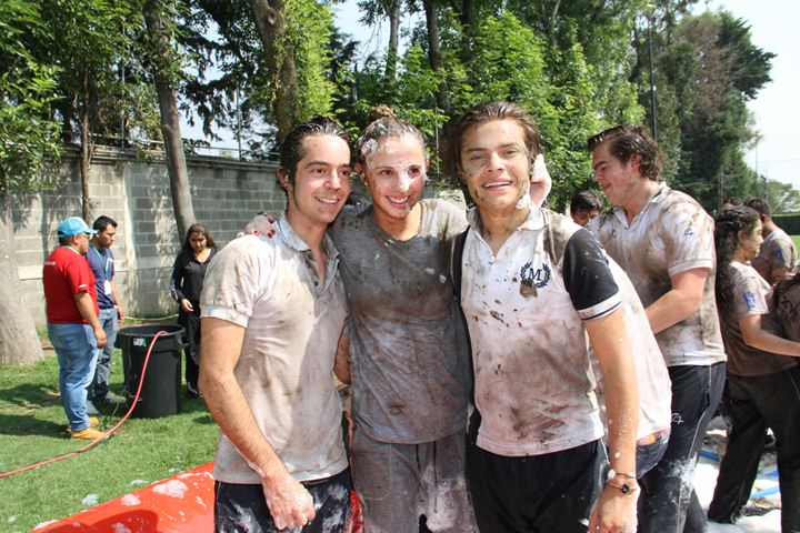 Ir a la Siguiente Foto