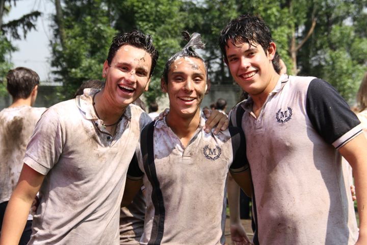 Ir a la Siguiente Foto