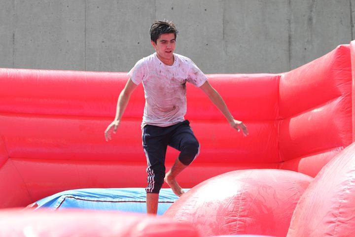 Ir a la Siguiente Foto