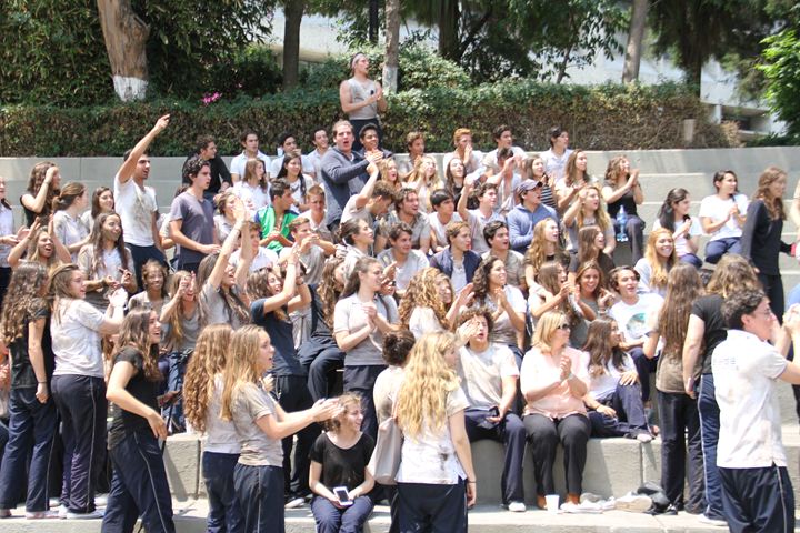 Ir a la Siguiente Foto