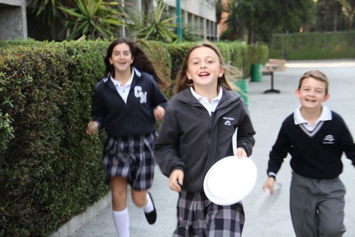 Ir a la Siguiente Foto