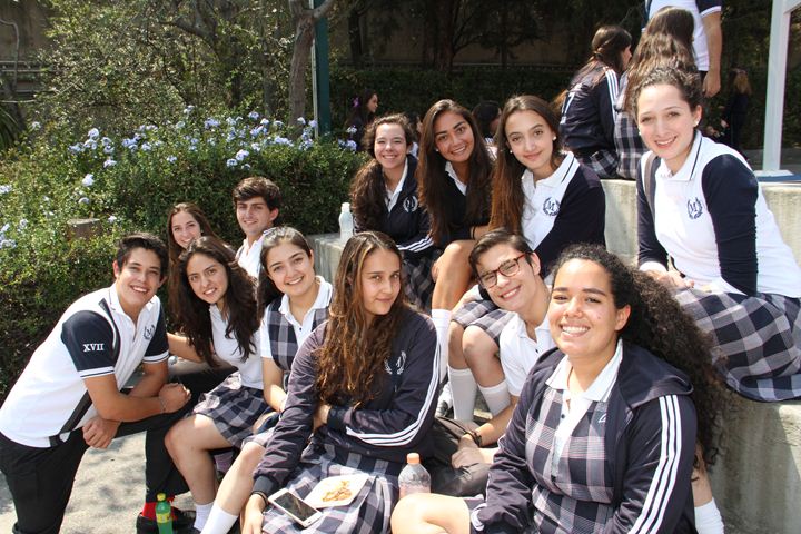 Ir a la Siguiente Foto