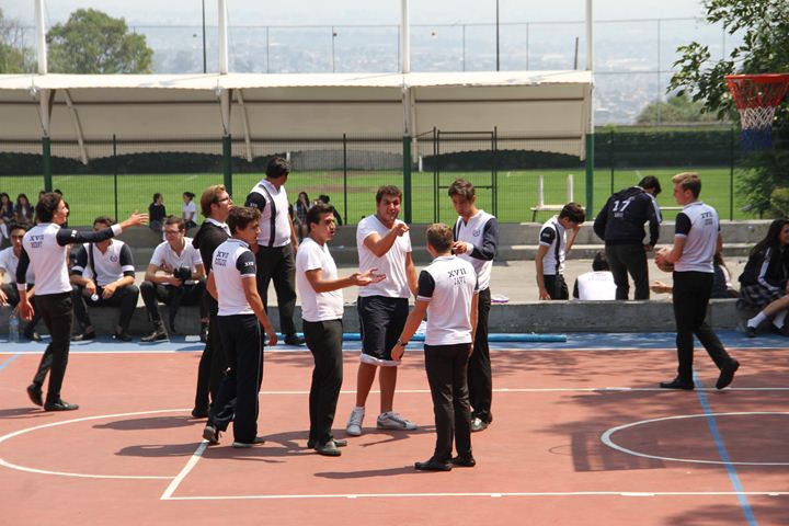 Ir a la Siguiente Foto