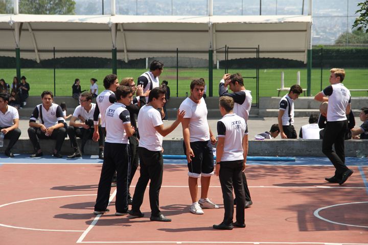 Ir a la Siguiente Foto