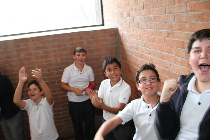 Ir a la Siguiente Foto