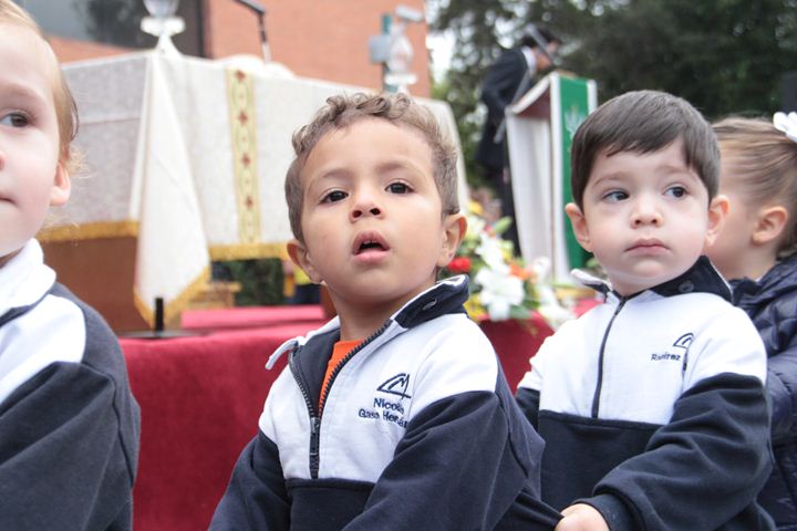 Ir a la Siguiente Foto