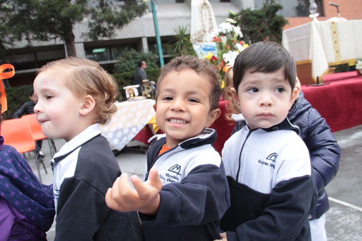 Ir a la Siguiente Foto