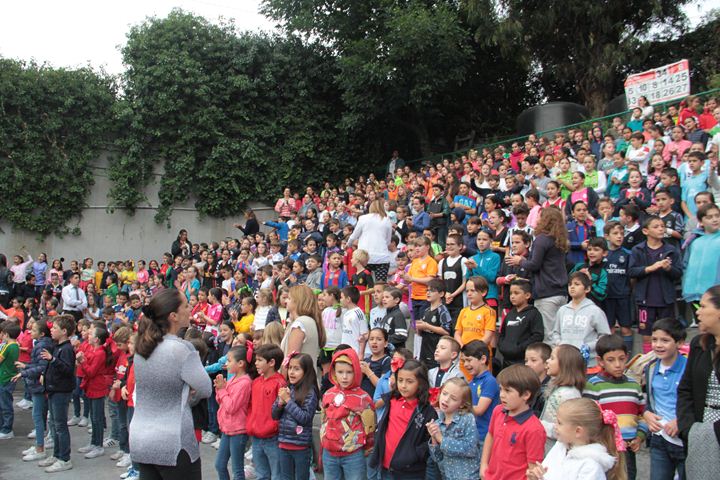 Ir a la Siguiente Foto