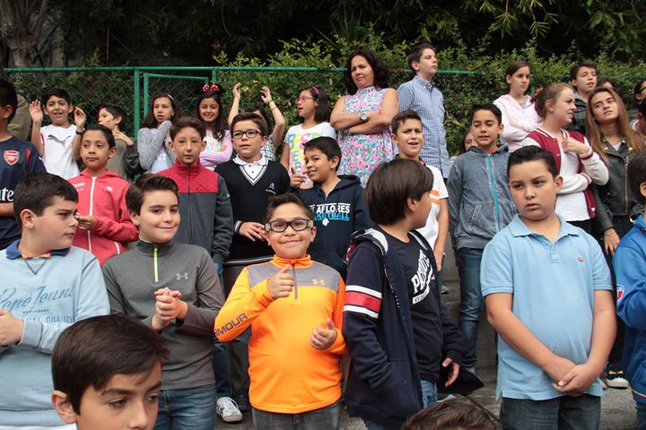 Ir a la Siguiente Foto
