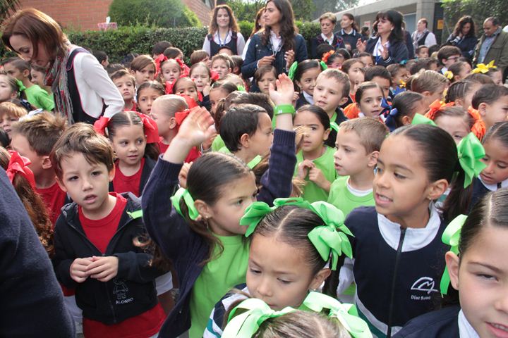 Ir a la Siguiente Foto
