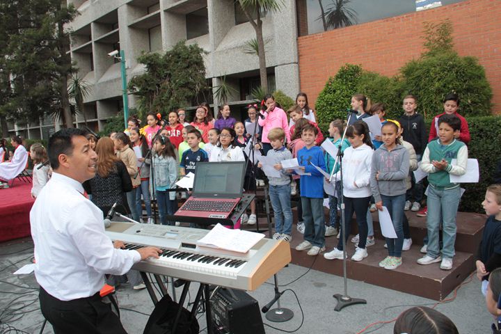 Ir a la Siguiente Foto