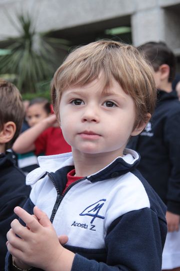 Ir a la Siguiente Foto