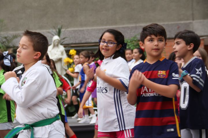 Ir a la Siguiente Foto