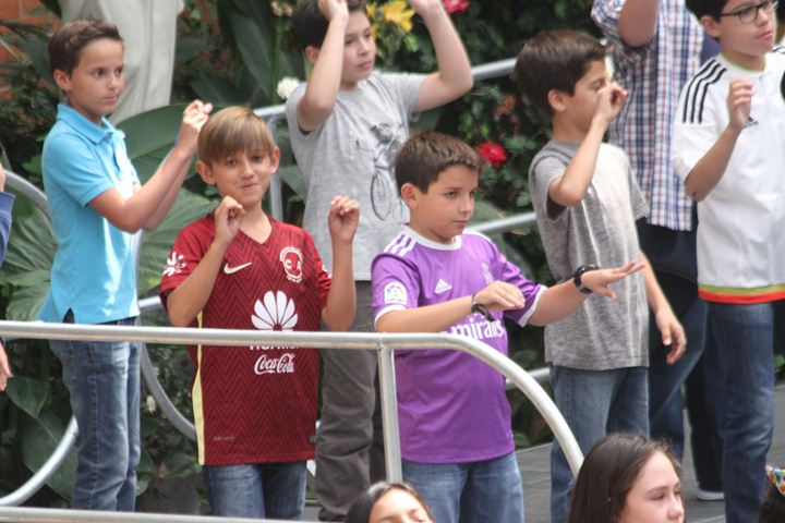 Ir a la Siguiente Foto