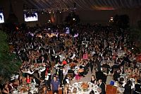 fiesta_graduacion2017435.jpg