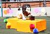inaug_miniolimpiada2017843.jpg