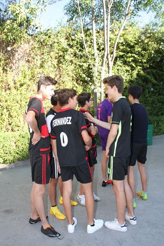 Ir a la Siguiente Foto