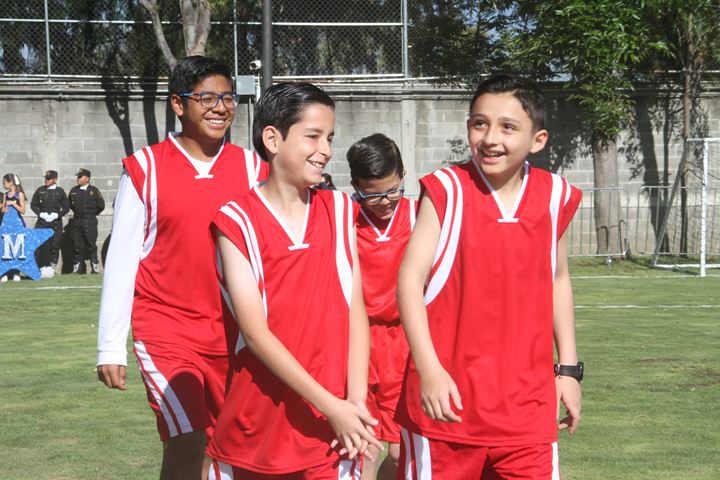 Ir a la Siguiente Foto