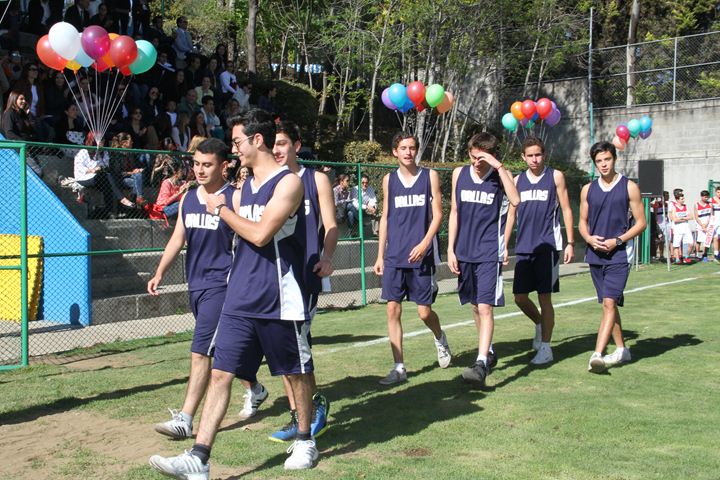 Ir a la Siguiente Foto