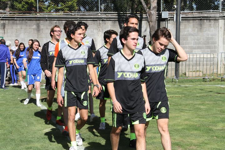 Ir a la Siguiente Foto