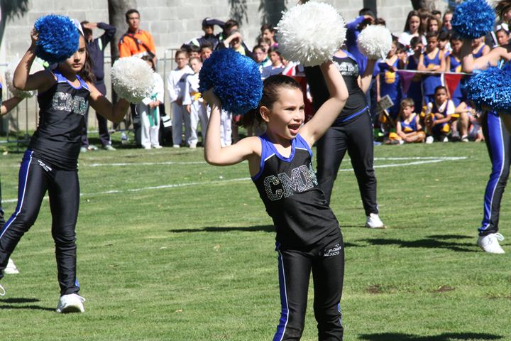 Ir a la Siguiente Foto