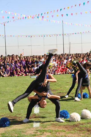 Ir a la Siguiente Foto