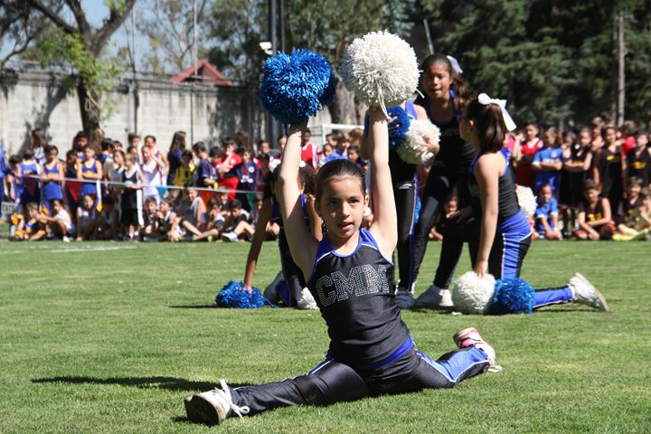 Ir a la Siguiente Foto