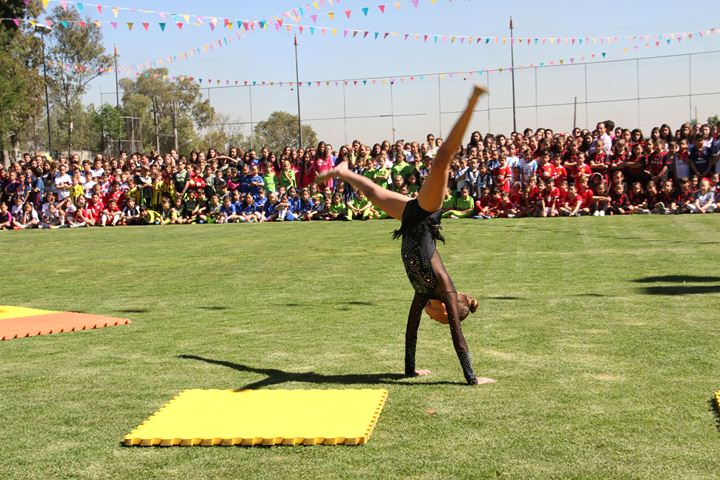 Ir a la Siguiente Foto