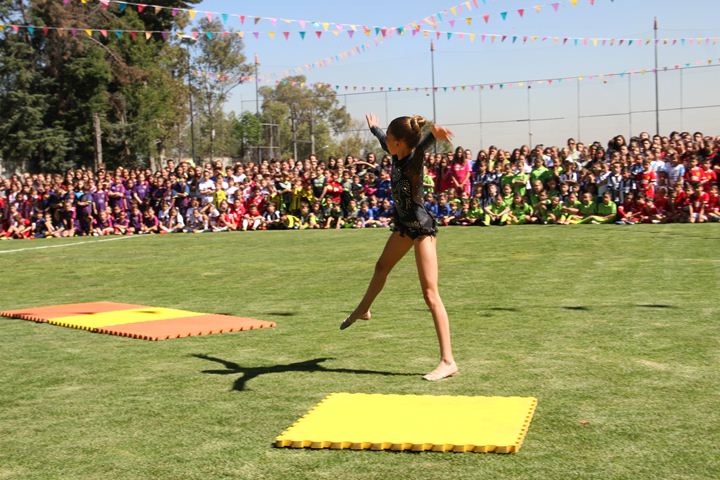 Ir a la Siguiente Foto