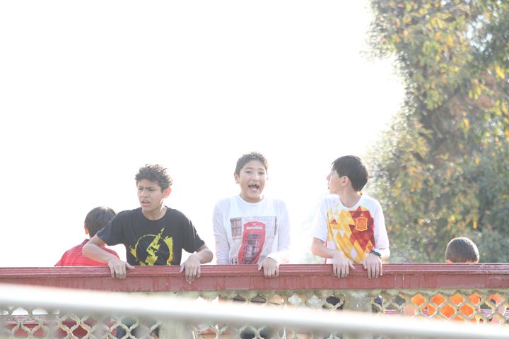 Ir a la Siguiente Foto